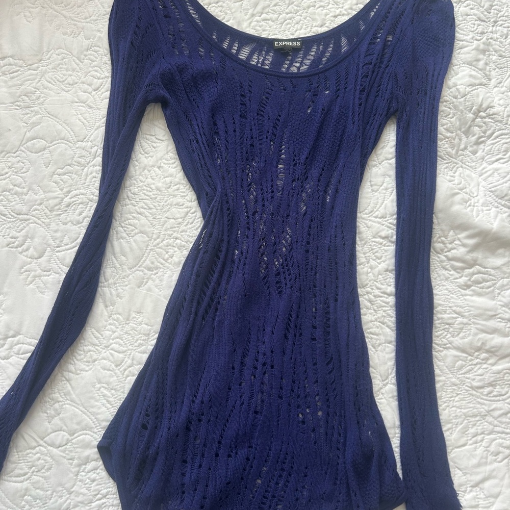 Express Royal Blue Open-Knit Long Sleeve Top